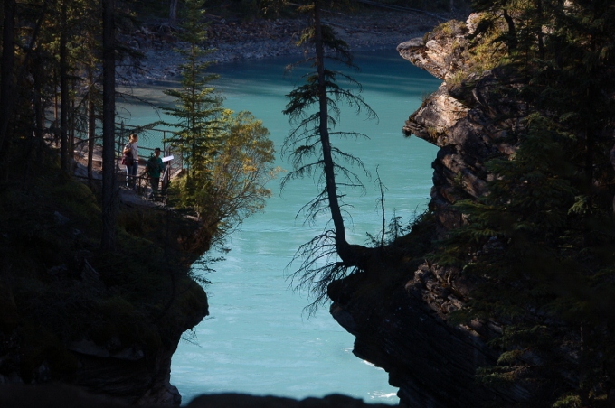 Where the Athabasca Falls run to, Icefields Parkway, Canada